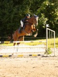 DSC08375 DSC08375