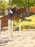 DSC08376 DSC08376