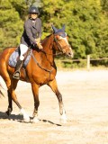 DSC08379 DSC08379