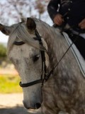 DSC05549 DSC05549