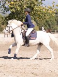 DSC03973 DSC03973