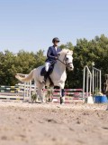 DSC03976 DSC03976