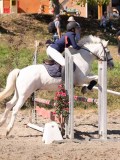 DSC03978 DSC03978