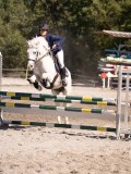 DSC03980 DSC03980