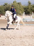 DSC03981 DSC03981