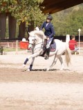 DSC03985 DSC03985