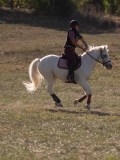 DSC05139 DSC05139