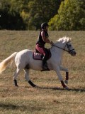 DSC05142 DSC05142