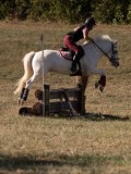 DSC05144 DSC05144