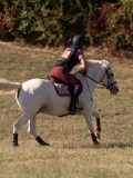 DSC05145 DSC05145