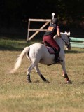 DSC05146 DSC05146