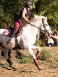 DSC05151 DSC05151