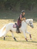 DSC06863 DSC06863