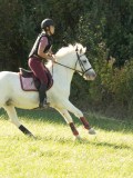 DSC06865 DSC06865