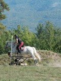 DSC_6119 DSC_6119