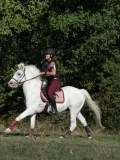 DSC_6121 DSC_6121