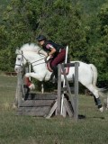 DSC_6122 DSC_6122
