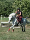 DSC_6124 DSC_6124
