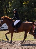 DSC03410 DSC03410