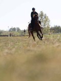 DSC04739 DSC04739