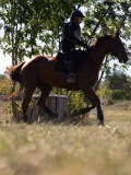 DSC04743 DSC04743