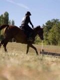 DSC04744 DSC04744