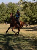 DSC04753 DSC04753