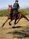 DSC04754 DSC04754