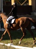 DSC05280 DSC05280