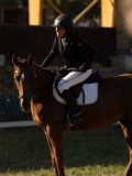 DSC05334 DSC05334