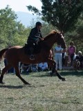 DSC_5981 DSC_5981