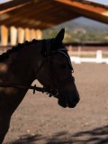 DSC01455 DSC01455