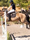DSC03650 DSC03650