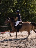 DSC03652 DSC03652