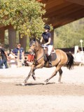 DSC03654 DSC03654