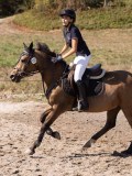 DSC03656 DSC03656