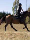 DSC04929 DSC04929