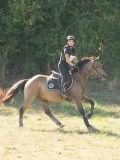 DSC06766 DSC06766
