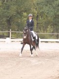 DSC02536 DSC02536