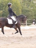 DSC02548 DSC02548