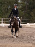 DSC02566 DSC02566