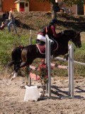 DSC04527 DSC04527
