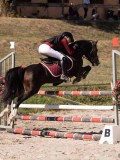DSC04528 DSC04528