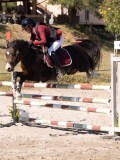 DSC04534 DSC04534