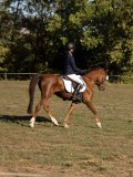 DSC05396 DSC05396