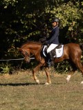 DSC05398 DSC05398