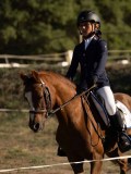 DSC05415 DSC05415