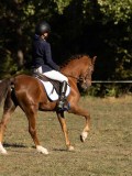 DSC05419 DSC05419