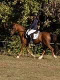 DSC05420 DSC05420