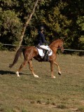 DSC05425 DSC05425